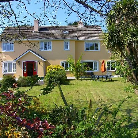 Ashe'S Accommodation Dingle Exterior photo